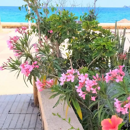 Apartamento Arenal Jávea